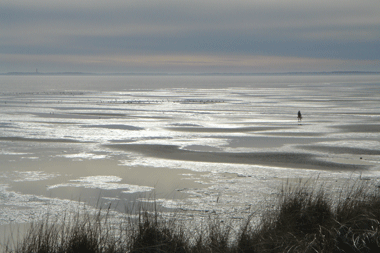 Blick vom Grundstück bei Ebbe
