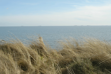 Blick vom Grundst&uuml;ck bei Flut